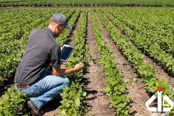 زئولیت کشاورزی