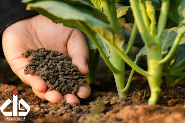 زئولیت کشاورزی