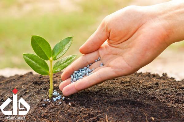 زئولیت کشاورزی